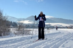 Fotografia: Stíhačky okolo Jakubianky II. -15.1.2017