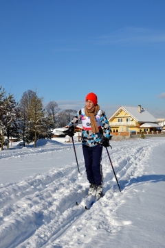 Fotografia: Stíhačky okolo Jakubianky II. -15.1.2017
