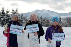 Fotografia: Stíhačky okolo Jakubianky II. -15.1.2017