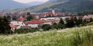 Fotografia: Nová Ľubovňa - leto (Mgr. Folvarčíková M.)