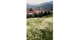 Fotografia: Nová Ľubovňa - leto (Mgr. Folvarčíková M.)