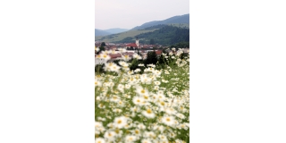 Fotografia: Nová Ľubovňa - leto (Mgr. Folvarčíková M.)