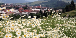 Fotografia: Nová Ľubovňa - leto (Mgr. Folvarčíková M.)