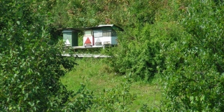 Naše včelnice – fotografia 16