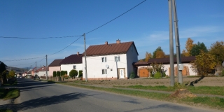 výrub stromov z dôvodu bezpečnosti občanov