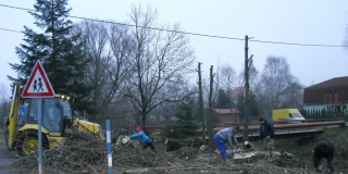 Fotografia: výrub stromov z dôvodu bezpečnosti občanov
