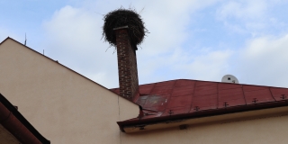 Fotografia: Rekonštrukcia bocianieho hniezda 8.3.2019