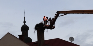 Fotografia: Rekonštrukcia bocianieho hniezda 8.3.2019