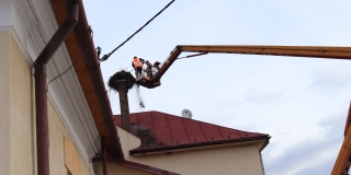 Fotografia: Rekonštrukcia bocianieho hniezda 8.3.2019