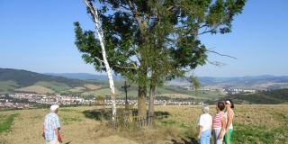 Fotografia: Úprava sv. Kríža a jeho okolia na Kopanine členmi výboru KD
