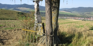 Fotografia: Úprava sv. Kríža a jeho okolia na Kopanine členmi výboru KD