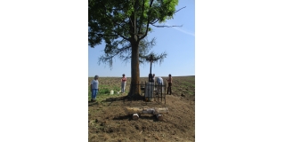 Fotografia: Úprava sv. Kríža a jeho okolia na Kopanine členmi výboru KD