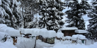 Fotografia: 30. výročie založenia RSVS Nová Ľubovňa - 02.12.2020