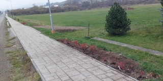 Fotografia: Výsadba zelene a úprava okolia popri chodníku - smer  Jakubany