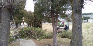 Fotografia: Orez stromov - cintoríny, park