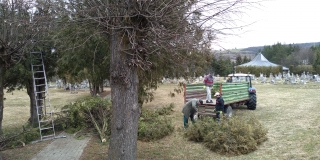 Orez stromov - cintoríny, park