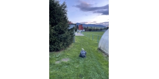 Poďakovanie – fotografia 10