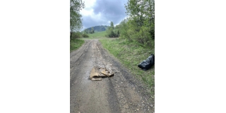 Poďakovanie – fotografia 15