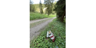 Poďakovanie – fotografia 12