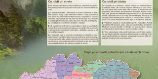 Výskyt medveďa - výzva na dodržiavanie odporúčaní – fotografia 1