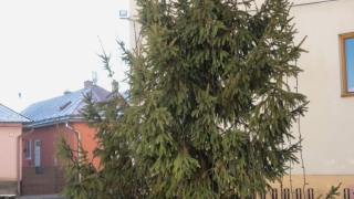 Fotografia: Odpustová slávnosť sv. Jána apoštola - 27.12.2025