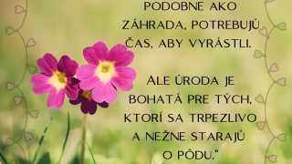 Medzinárodný týždeň manželstva 09. - 15.02.2026 – fotografia 10