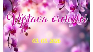 Oznam pre prihlásených účastníkov na zájazd - Výstava orchideí