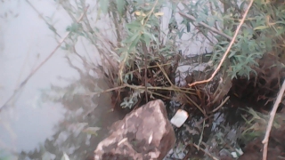Fotografia: Zabezpečenie potrubia dažďovej kanalizácie spätná (bobria) klapka 