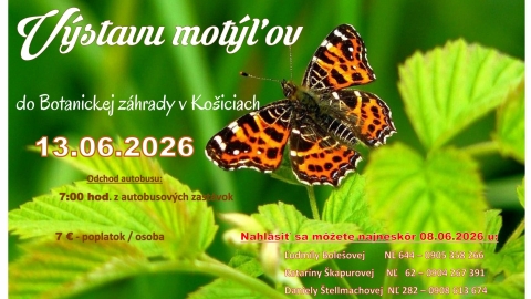 Pozvánka KD na Výstavu motýľov v Botanickej záhrade v Košiciach 13.06.2026