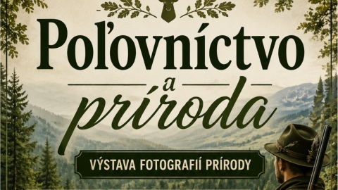 Podujatia v Starej Ľubovni