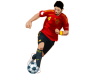 201511201246400.futbalista