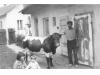 Historické fotografie