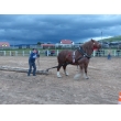 vdakyvzdanie-za-dary-zeme-1792017-iicast-rodeo