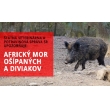 Africký mor ošípaných - potvrdený prípad v katastri obce Jakubany