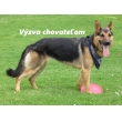 Výzva chovateľom psov