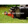 Kosenie starého cintorína