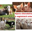 Výzva chovateľom k registrácii dobytka
