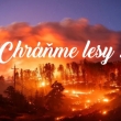 Ochrana lesov pred požiarmi