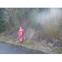 brigada-dochodcov-842019